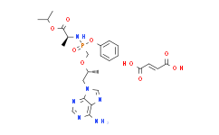 C19 3'-sulfo Galactosylceramide (d18:1/19:0)
