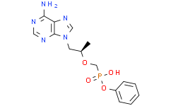 (1R)-2-(6-氨基-9H-嘌呤-9-基)-1-甲基乙氧基甲基磷酸单苯酯
