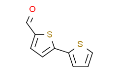 2，2'-联噻吩-5-甲醛,98%