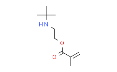 甲基丙烯酸2-(叔丁基氨基)乙酯,≥98%，含稳定剂MEHQ