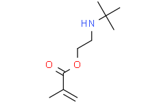 甲基丙烯酸2-(叔丁基氨基)乙酯