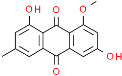 2025新老澳门原料