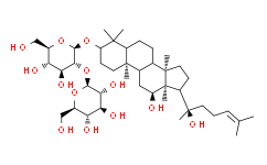 20(R)Ginsenoside Rg3.