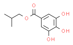 没食子酸异丁酯,≥98%(HPLC)(T)