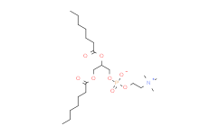 1，2-二庚酰-Sn-甘油-3-磷酰胆碱,>99%