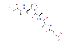 弹性蛋白酶(猪胰)