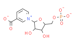 烟酸单核苷酸