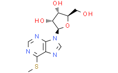 6-(甲硫基)-9-β-D-呋喃核糖-9H-嘌呤