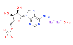 ((2R，3S，4R，5R)-5-(6-氨基-9H-嘌呤-9-基)-3，4-二羟基四氢呋喃-2-基)甲基磷酸钠水合物,≥95%