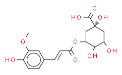 5-Feruloylquinic acid