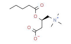 Valerylcarnitine