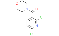 (2,6-dichloropyridin-3-yl)(Morpholino)Methanone