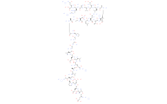 C-Peptide 2，rat