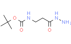 tert-Butyl (3-hydrazino-3-oxopropyl)carbamate