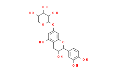 Catechin-7-O-β-D-xylopyranoside