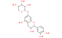 Catechin-7-O-β-D-xylopyranoside