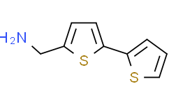C-[2,2'-二硫代苯-5-基甲基]胺
