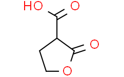 2-氧代四氢呋喃-3-甲酸