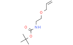 (2-(烯丙氧基)乙基)氨基甲酸叔丁酯