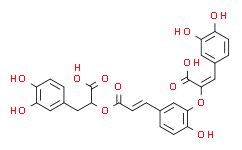 (2R,3S)-3-苯基异丝氨酸盐酸盐