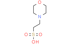 MES缓冲液