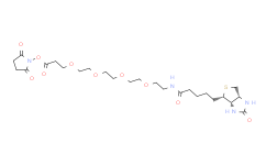 15-生物素-氨基-4，7，10，13-二氧杂壬酸N-羟基琥珀酰亚胺,97%