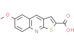 6-Methoxy-thieno[2,3-b]quinoline-2-carboxylic acid