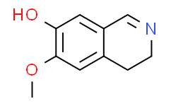 6-甲氧基-7-羟基-3，4-二氢异喹啉,95%