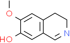 6-甲氧基-7-羟基-3，4-二氢异喹啉,95%