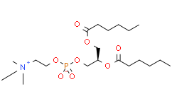 1,2-dihexanoyl-d22-sn-glycero-3-phosphocholine-1,1,2,2-d4-N,N,N-trimethyl-d9