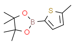 5-甲基噻吩-2-硼酸频哪醇酯,≥97%
