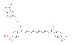 磺化Cy7-NHS 活化酯