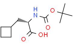 BOC-L-环丁基丙氨酸