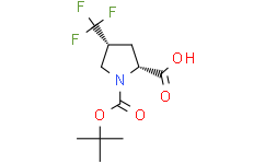 (2R,4R)-1-(叔-丁氧羰基)-4-(三氟甲基)吡咯烷-2-羧酸