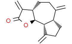 去氢木香内酯