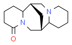 α-Isolupanine