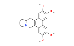 （+）-（S）-酪氨酸