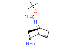(1r,2s,4s)-rel-2-氨基-7-boc-7-氮杂双环[2.2.1]庚烷