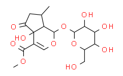 5-羟基马鞭草苷,≥98%(HPLC)