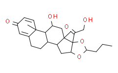 甲醇中(22R)-布地奈德溶液