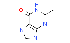 2-甲基-1H-嘌呤-6(9H)-酮,95%