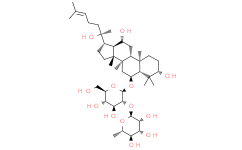人参皂甙 Rg2