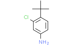 4-(叔丁基)-3-氯苯胺