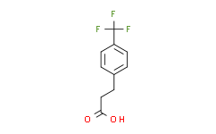Amyloid-β (1-38) Peptide (trifluoroacetate salt)