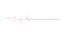 1-palmitoyl-2-hydroxy-sn-glycero-3-phosphoethanolamine,>99%