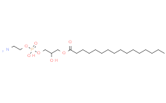 1-palmitoyl-2-hydroxy-sn-glycero-3-phosphoethanolamine,>99%