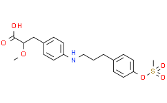 PPAR agonist 1