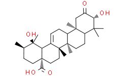 2-Oxopomolic acid