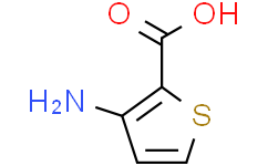 3-氨基-2-噻吩甲酸