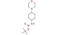 (反式-4-吗啉代环己基)氨基甲酸叔丁酯,≥95%